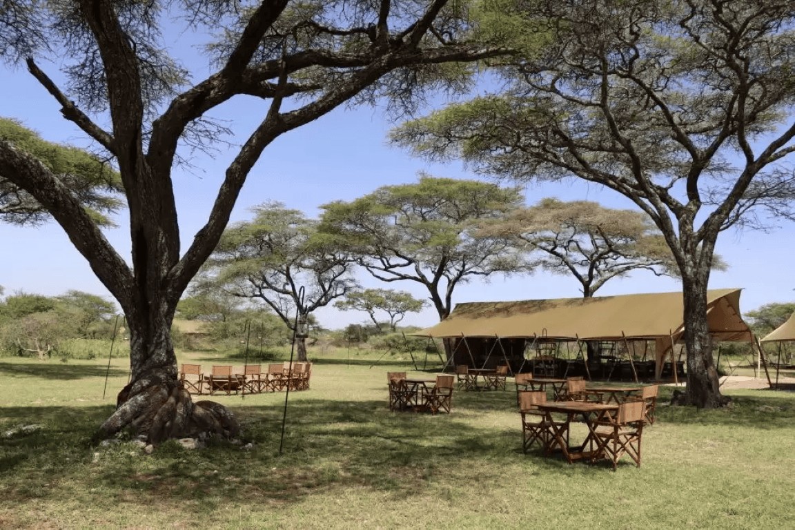 Laba Migration Camp, Ndutu, December to March