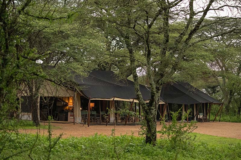 Mwiba Plains, Mwiba Wildlife Reserve, southern Serengeti