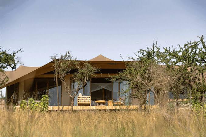 Sisini Serengeti