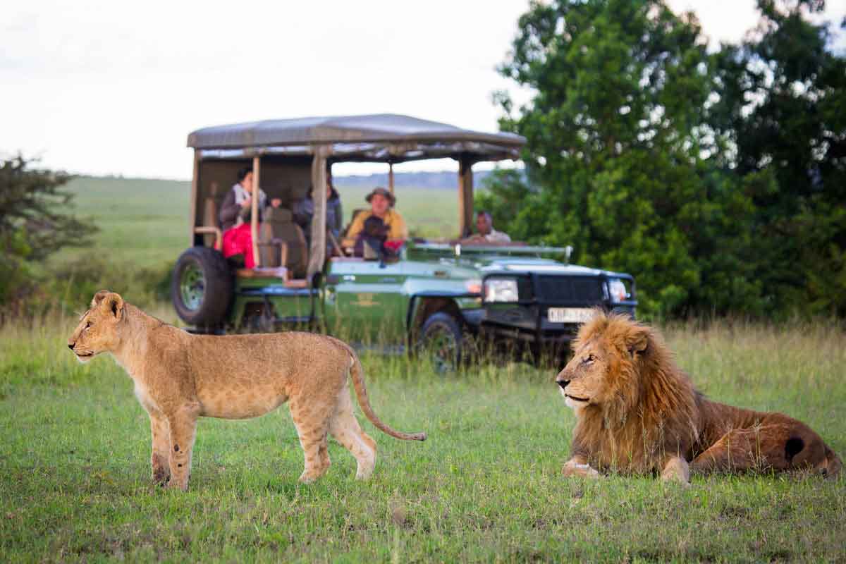 Private Kenya Bush and Beach Family Safari at Mara Plains and Alfajiri Villas Diani