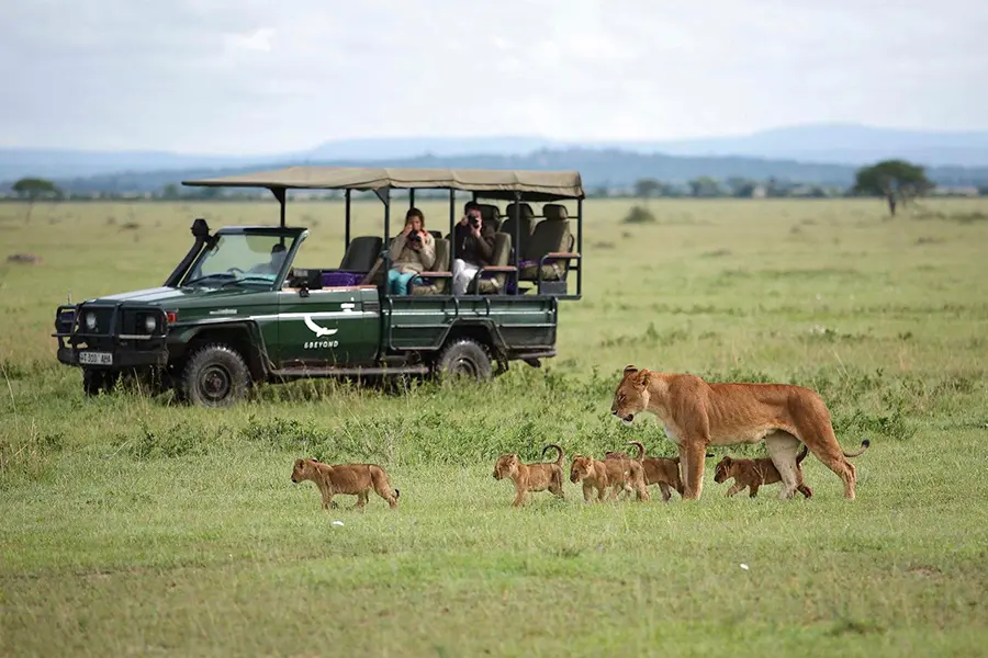 A luxury safari across Kenya and Tanzania, from the Masai Mara to the Serengeti plains