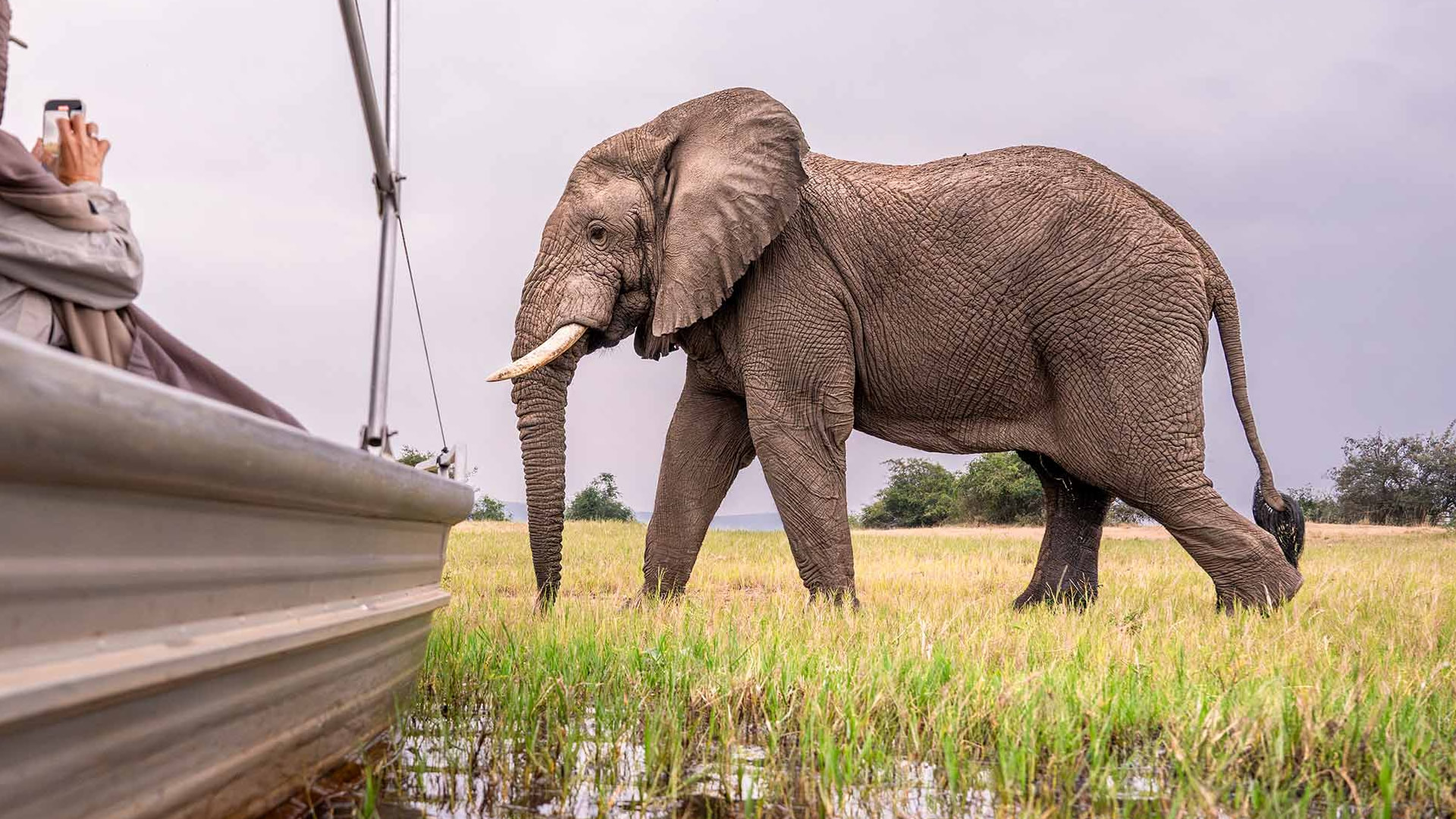 Luxury safari destinations across Africa with Ongeri Expeditions
