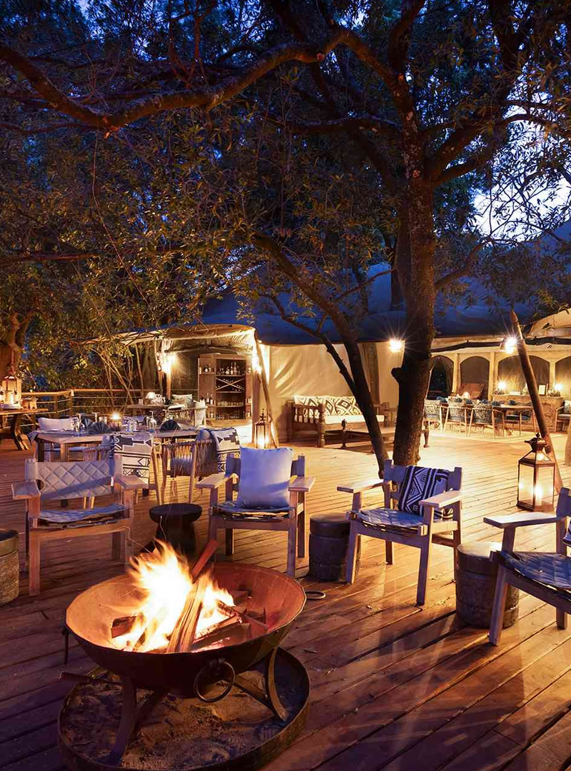 5 day private conservancy safari at Mara Toto Tree Camp, Masai Mara